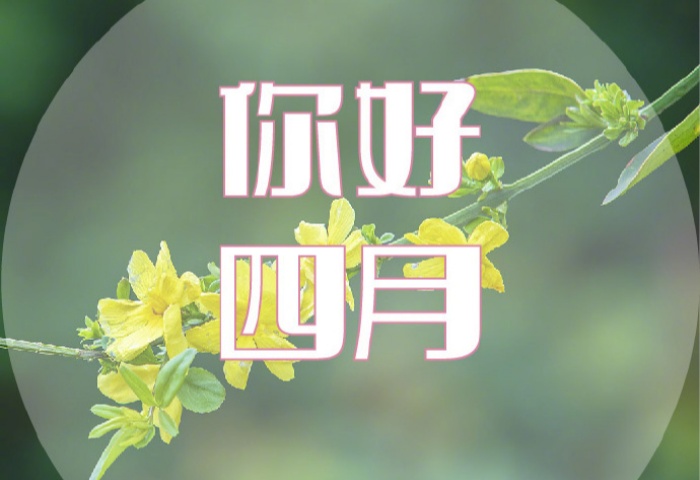 4 月裝修，錯過等一年！青島業(yè)主必看的裝修黃金時機?